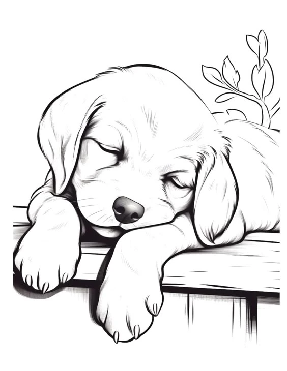 dog-line-art-3