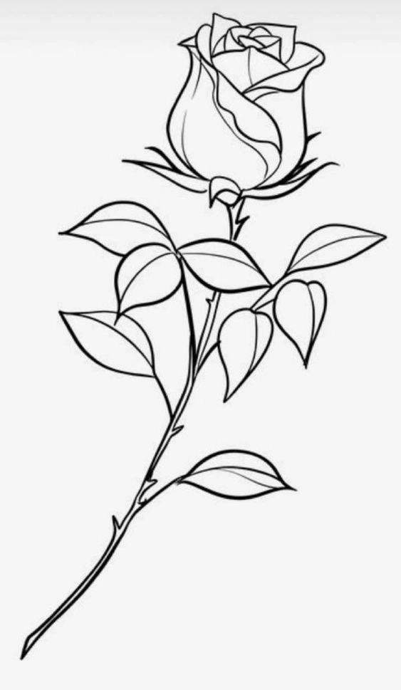 flower-line-art-7